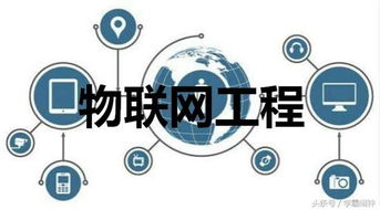 網(wǎng)絡(luò)工程與物聯(lián)網(wǎng)工程 高考志愿填報(bào)的關(guān)鍵區(qū)別